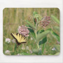 Suche nach gelber schmetterling mousepads Grün
