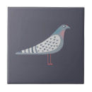 Suche nach taube fliesen Vogel