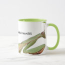 Suche nach mantis tassen Insekten