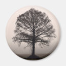 Suche nach baum magnete Fotografie