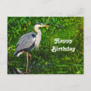 Suche nach great blue heron poster Tierwelt