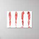 Suche nach ligamente Digital erzeugtes bild