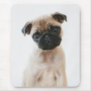 Suche nach sitzender hund mousepads Mops