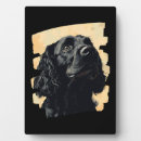 Suche nach cocker spaniel fotoplatten Tier