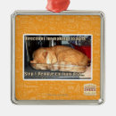 Suche nach herstellung ornamente Ich kann habe cheezburger