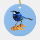 Suche nach blauer vogel ornamente Vögel
