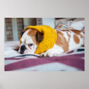 Suche nach englische bulldogge poster Liebe