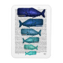 Suche nach faber magnete Meeresleben