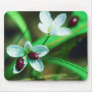 Suche nach marienkäfer mousepads Selektiver fokus