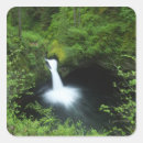 Suche nach pazifischer nordwesten aufkleber Wald