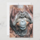 Suche nach orang utan einladungen Niedlich