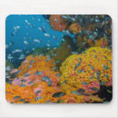 Suche nach korallenriff mousepads Fisch