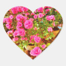 Suche nach extravaganz Blumen