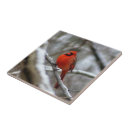 Suche nach vogelbeobachtung fliesen Vogelvogel