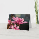 Suche nach magnolie karten Lila