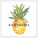 Suche nach eine ananas aufkleber Hübsch