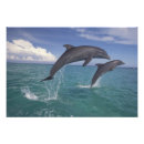 Suche nach karibisches meer poster Ozean