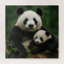Suche nach panda puzzle Wald