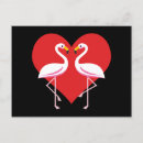 Suche nach flamingo liebe postkarten Rosa