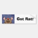 Suche nach weiße ratten autoaufkleber Maus