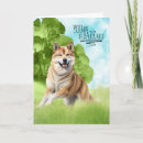 Suche nach akita karten Hundefreund