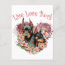 Suche nach dobermann postkarten Welpe