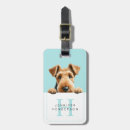 Suche nach airedale terrier accessoires Urlaub