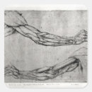 Suche nach leonardo aufkleber Skizze