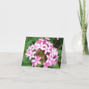 Suche nach blumenstrauß karten Gruß