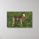 Suche nach waliser kunst Pferd