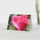 Suche nach sweet karten Rose