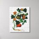 Suche nach weinreben leinwandbilder Gemüserebe