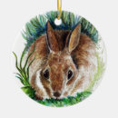 Suche nach kaninchens ornamente Verzierung
