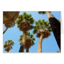 Suche nach oase karten Natur