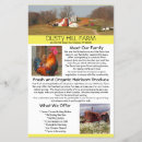 Suche nach bauernhof flyer Werbung