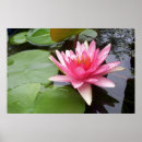 Suche nach lilly poster Rosa