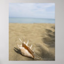 Suche nach sandiger strand poster Natur