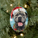 Suche nach cane corso ornamente Weihnachten