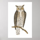 Suche nach eulen kinder poster Niedlich