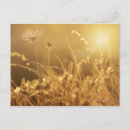 Suche nach sommerwiese poster Natur