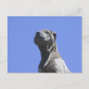 Suche nach chinesische postkarten Hund