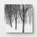 Suche nach bäume auf fotoplatten Landschaft