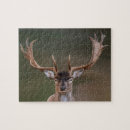 Suche nach hirsch puzzle Spaß