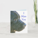 Suche nach trauriger hund karten Ich vermisse dich