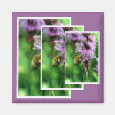 Suche nach bee magnete Bienen