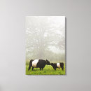 Suche nach vertikal leinwandbilder Liebe