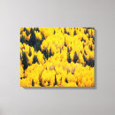 Suche nach aspen leinwandbilder Wald
