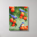 Suche nach singvögel leinwandbilder Tierwelt