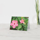 Suche nach all occasion postkarten Flower