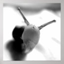 Suche nach snail poster Fotografie